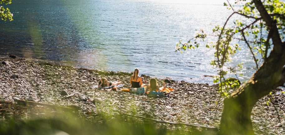 Sommerinnhold fra Lysefjorden turisthytte
