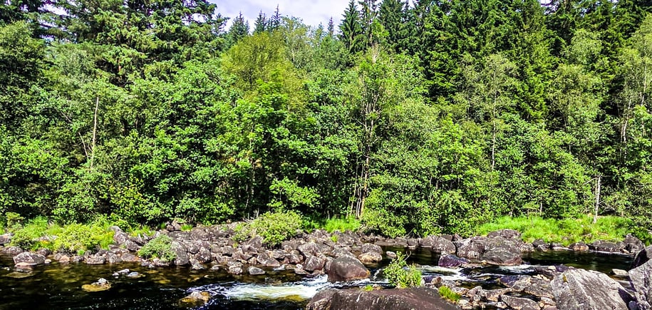 Badeplassen Eden ved Jørplelandselva