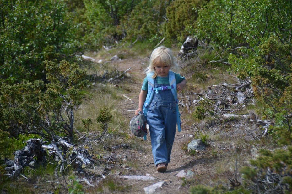 Fellestur med Barnas Turlag