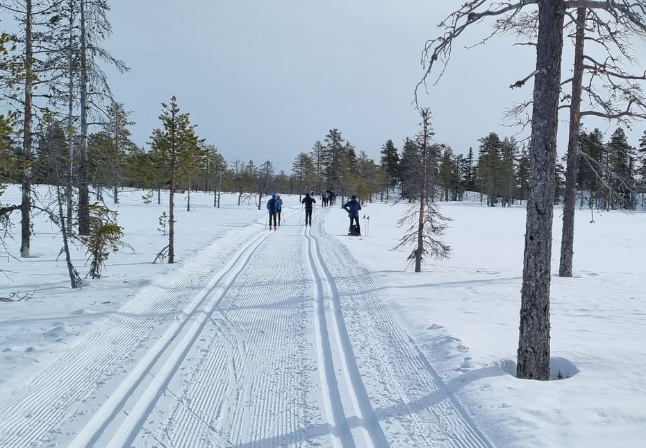 Skispor på Endelausmyrene