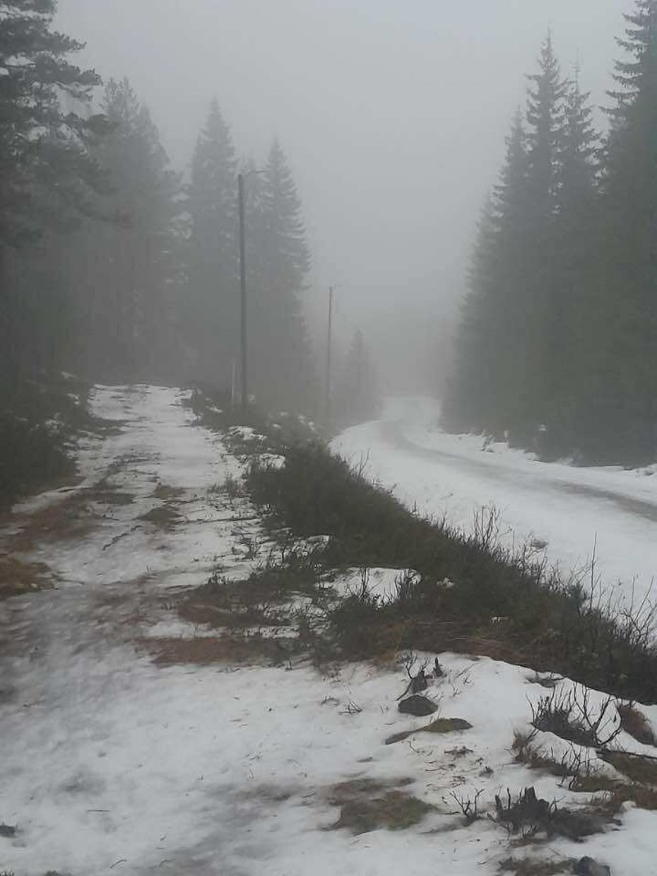 Gråvær og lite snø