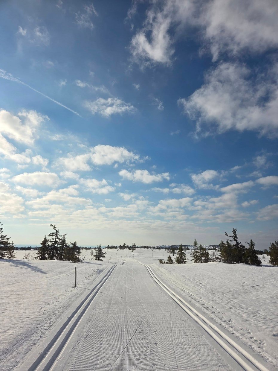 Skiløyper i vårsol.