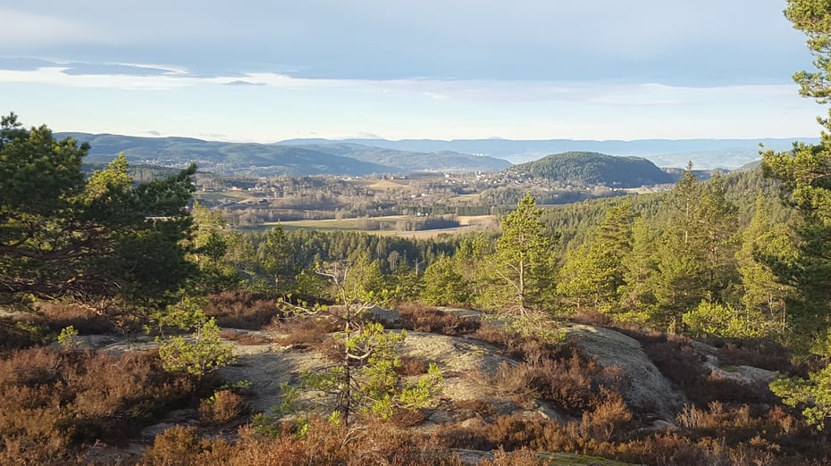 Utsikt fra Rødbykollen
