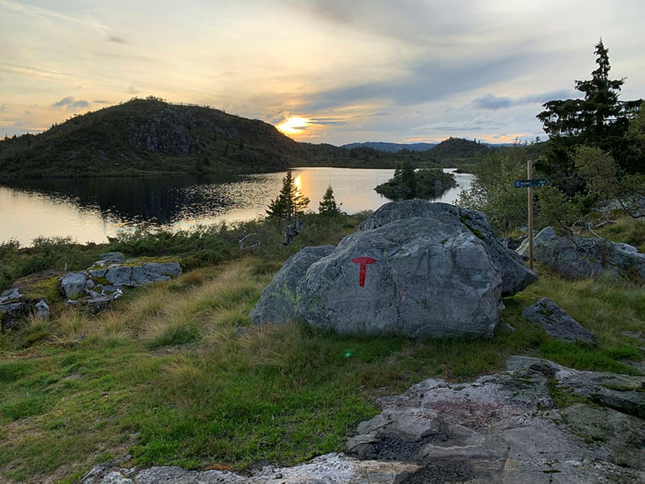 Nutevann