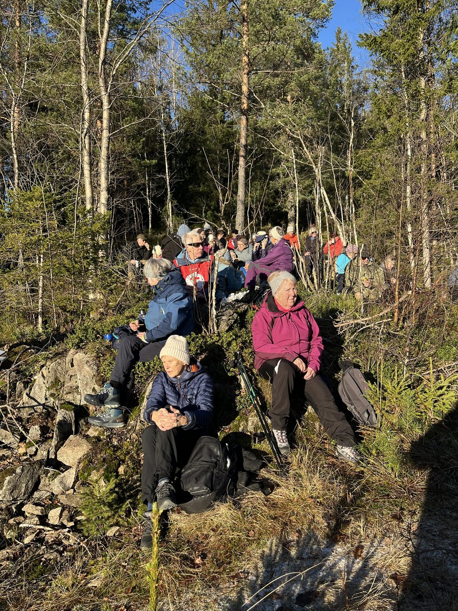 Turgjengen nyter nista si ute 