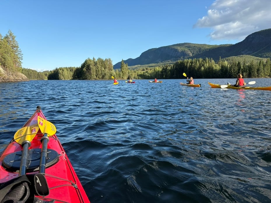 Flott og skjermet område