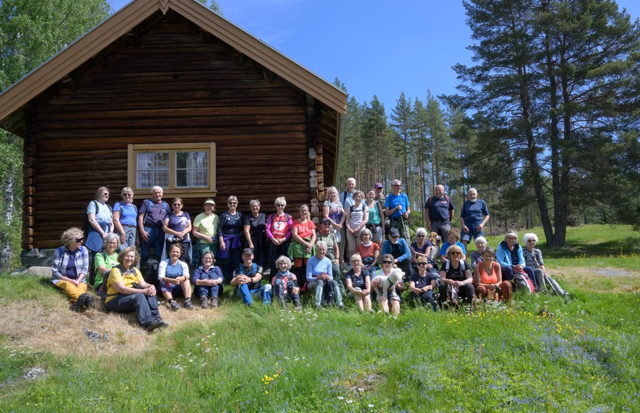 Hele gruppa