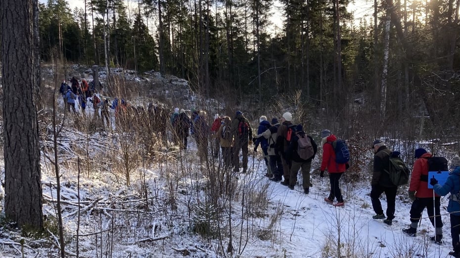 mennesker som går på rekke på tur