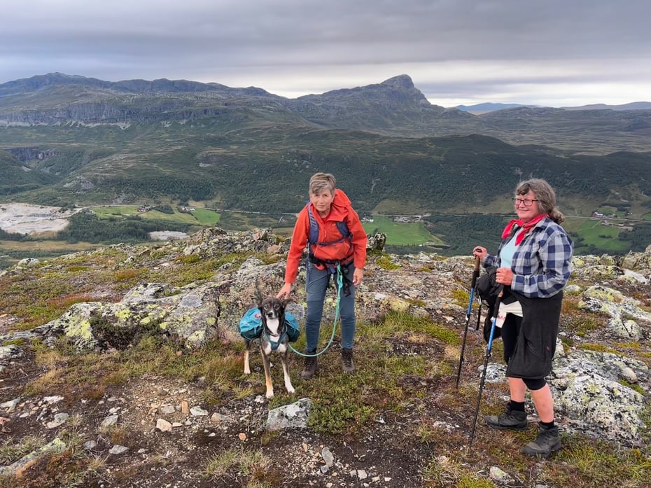På toppen av Raudhorn (1143 moh), mot Skredbergo, Lykkja og Bitihorn.