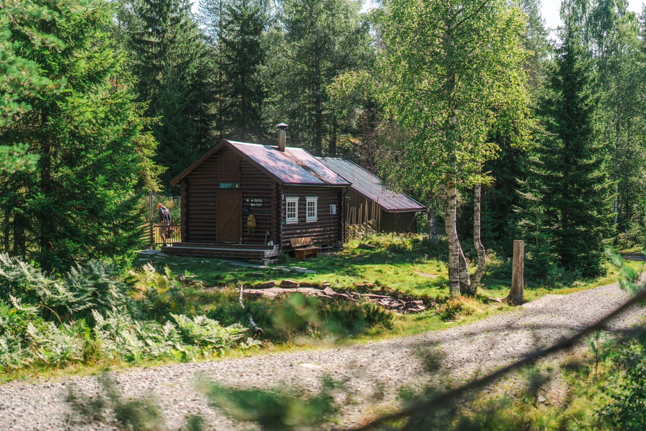 hytte i skogholt