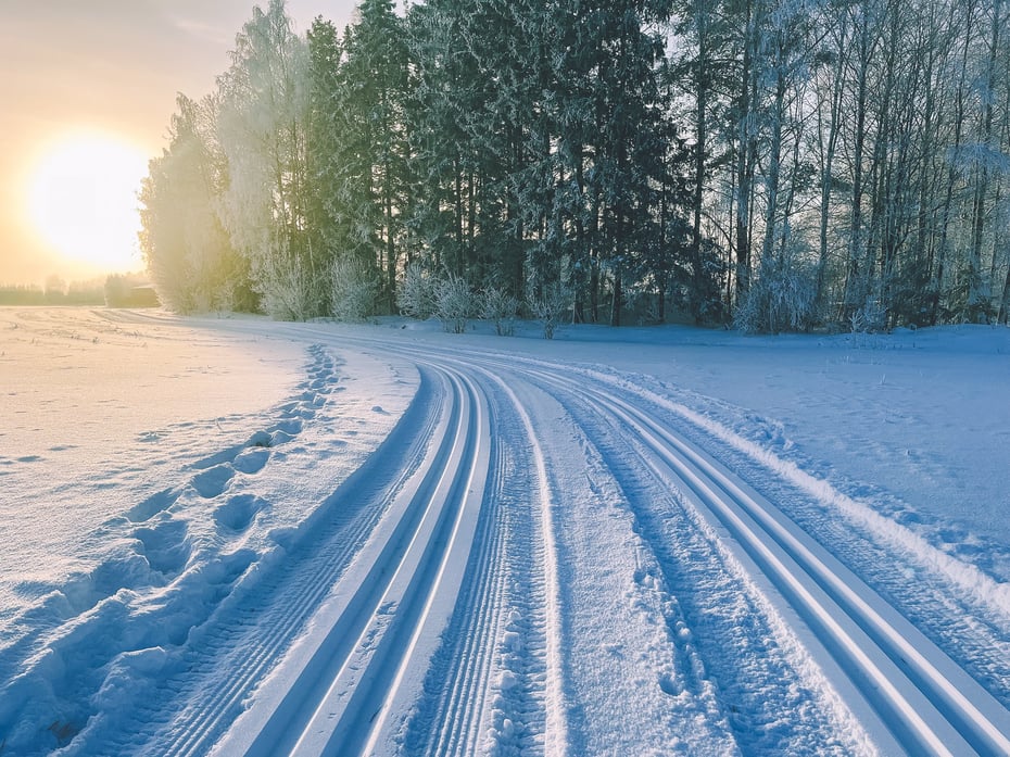 Doble skispor på et jorde ved skogkanten