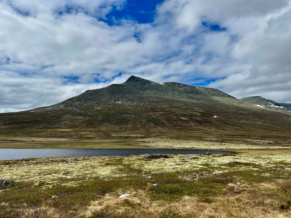 Naturbilde fra Håmmålsfjellet–Sålekinna i sommerhalvåret