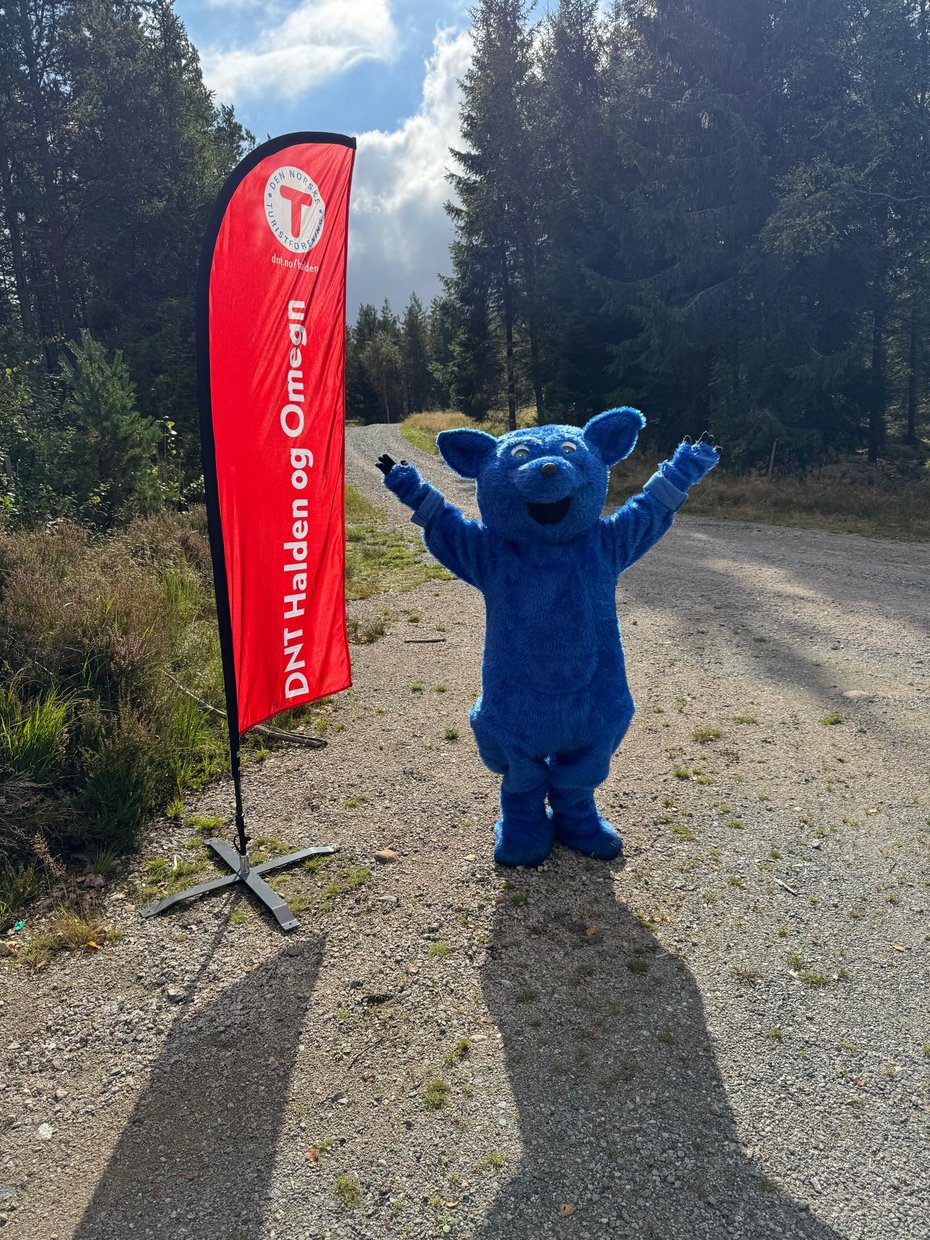 Blå bamse smiler ved siden av DNT-flagg