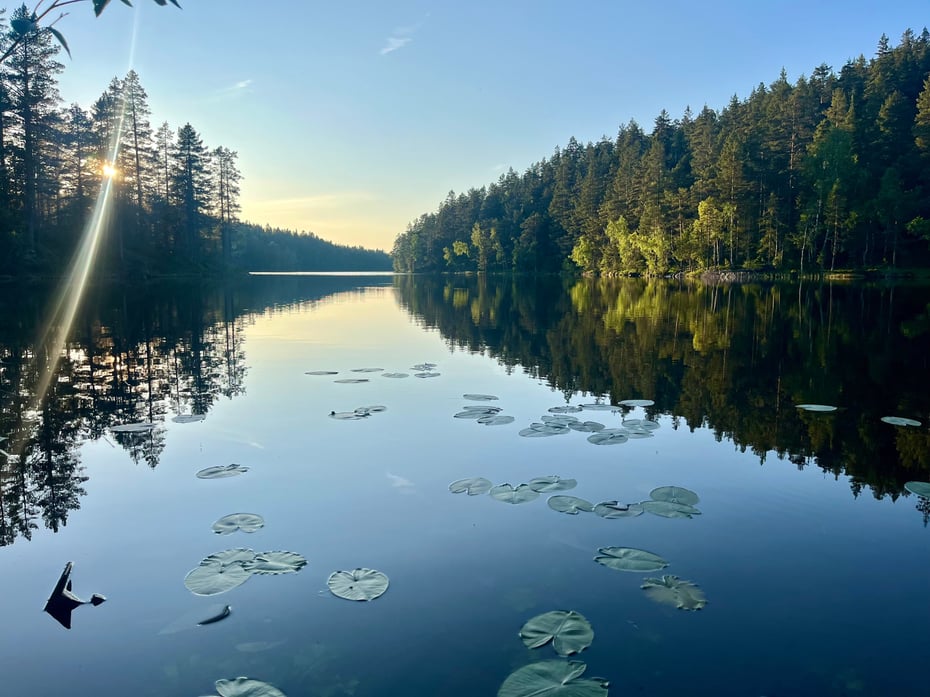 Mjøvannet