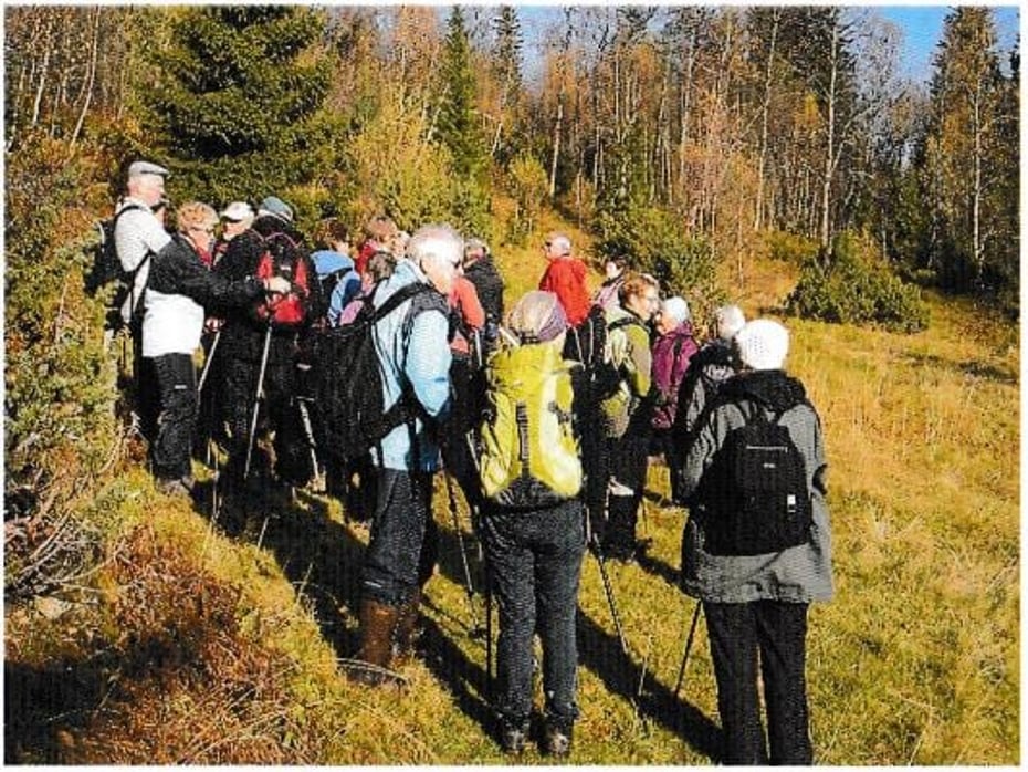 Turgruppe på tur i skogen