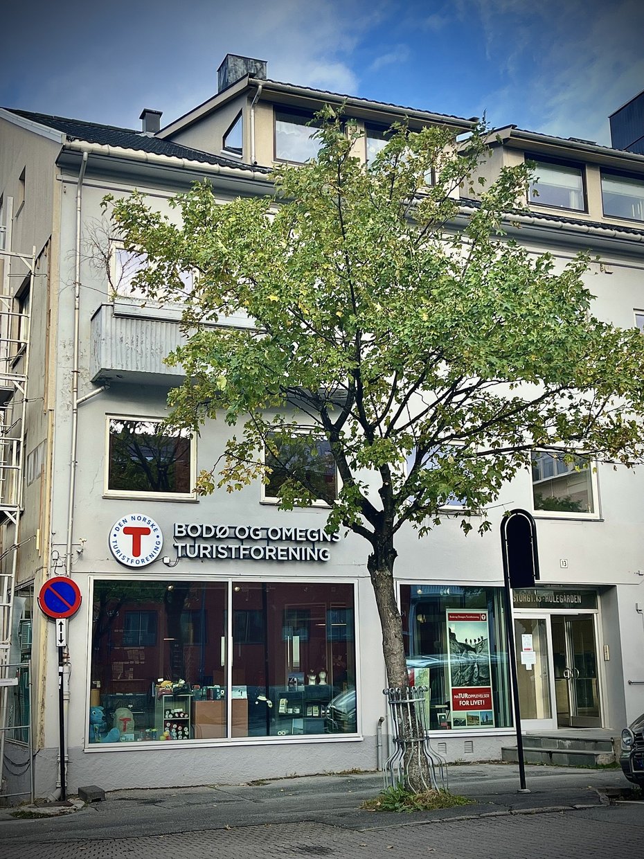 Grå fasade i byen, store utstillingsvinduer og grønt tre foran