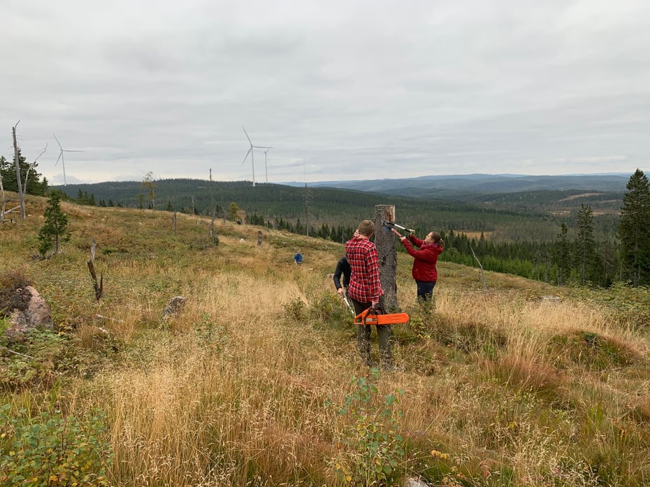 Stimerking med vindturbiner i bakgrunnen