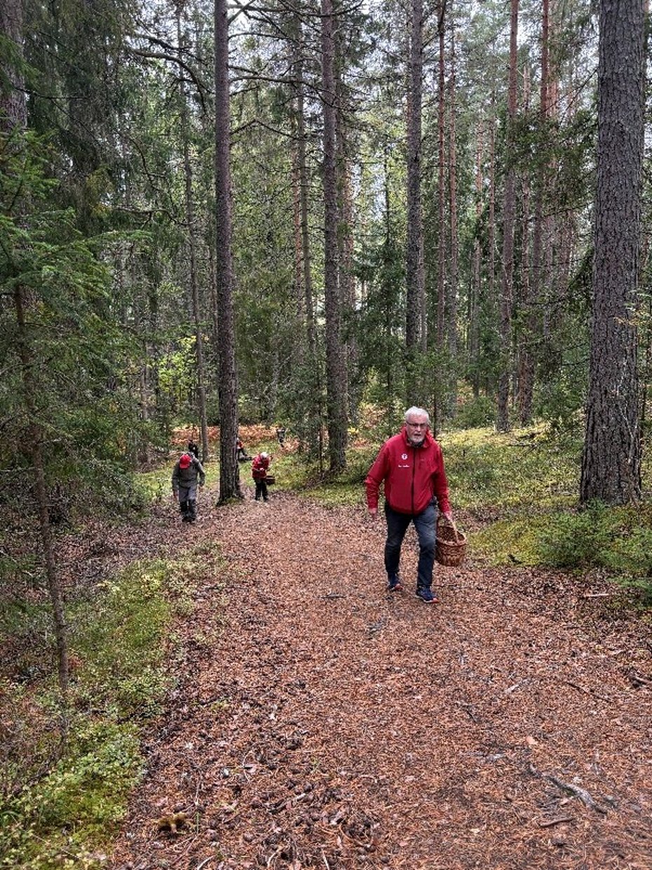 På stien for å finne sopp
