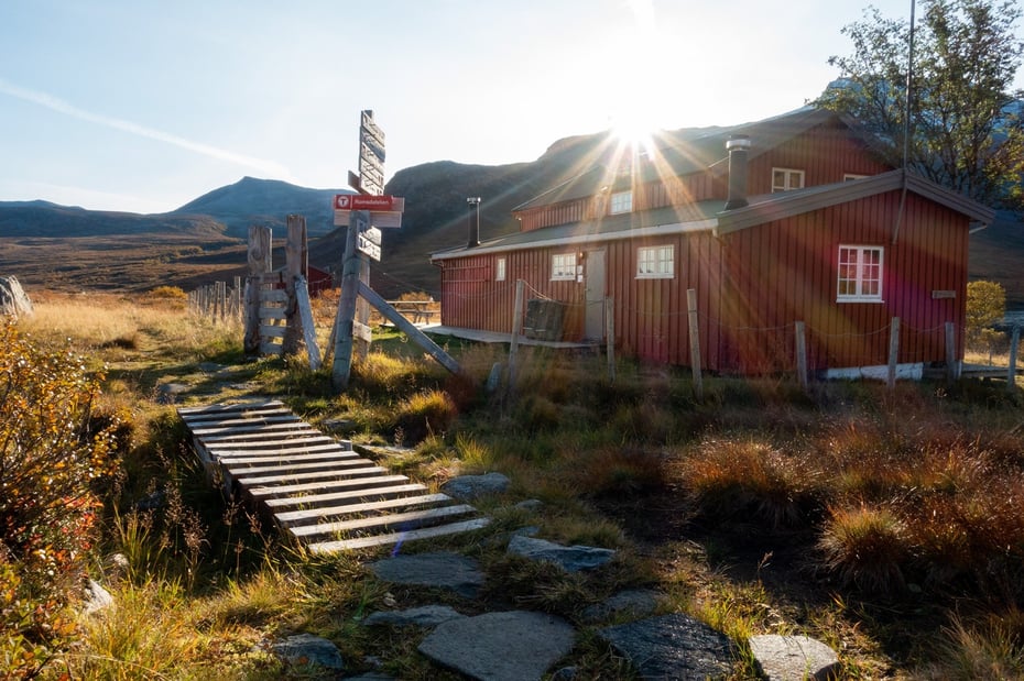 Måsvassbu i høstdrakt