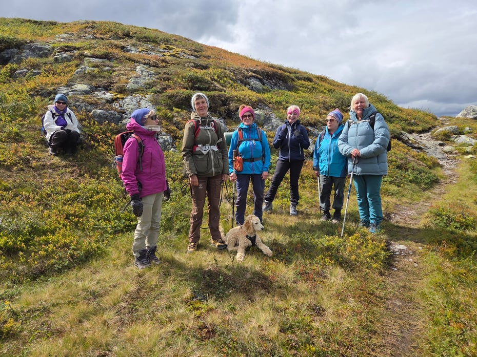Golsfjellet