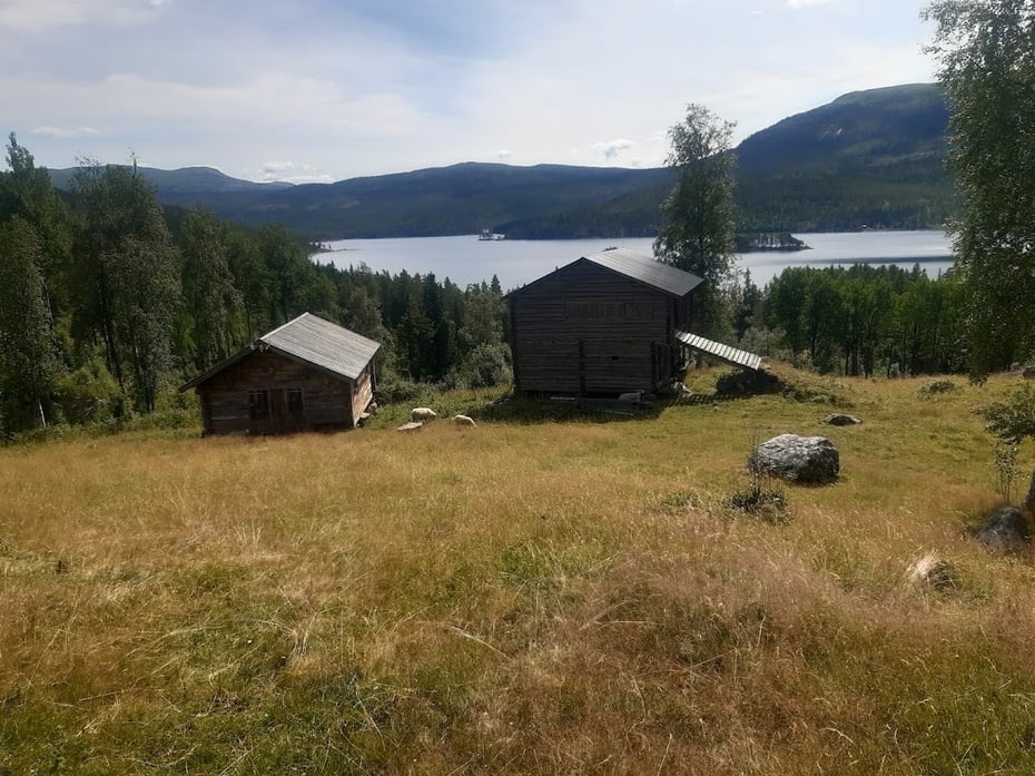 Vassfarplassen