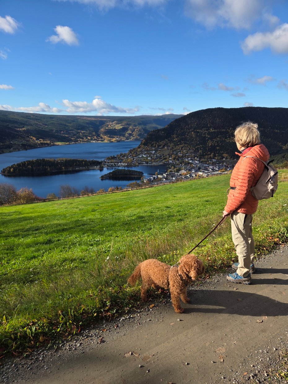 Fagernes ligger fint til ved Strandefjorden
