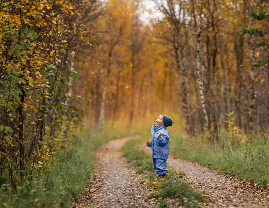 Liten gutt, i kledd blå regndress, titter opp på blader som faller fra trærne i skogen. 