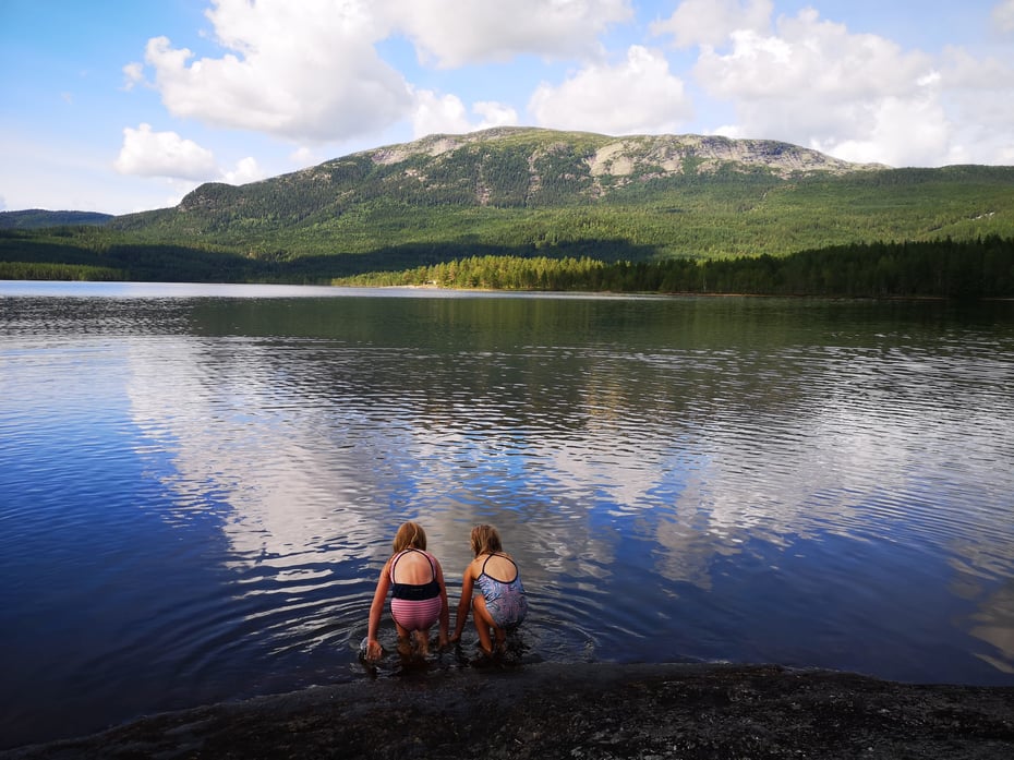Besøk koiene våre i sommer