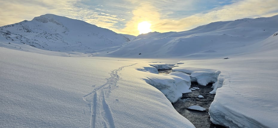 Åpen bekk i vinterlandskap
