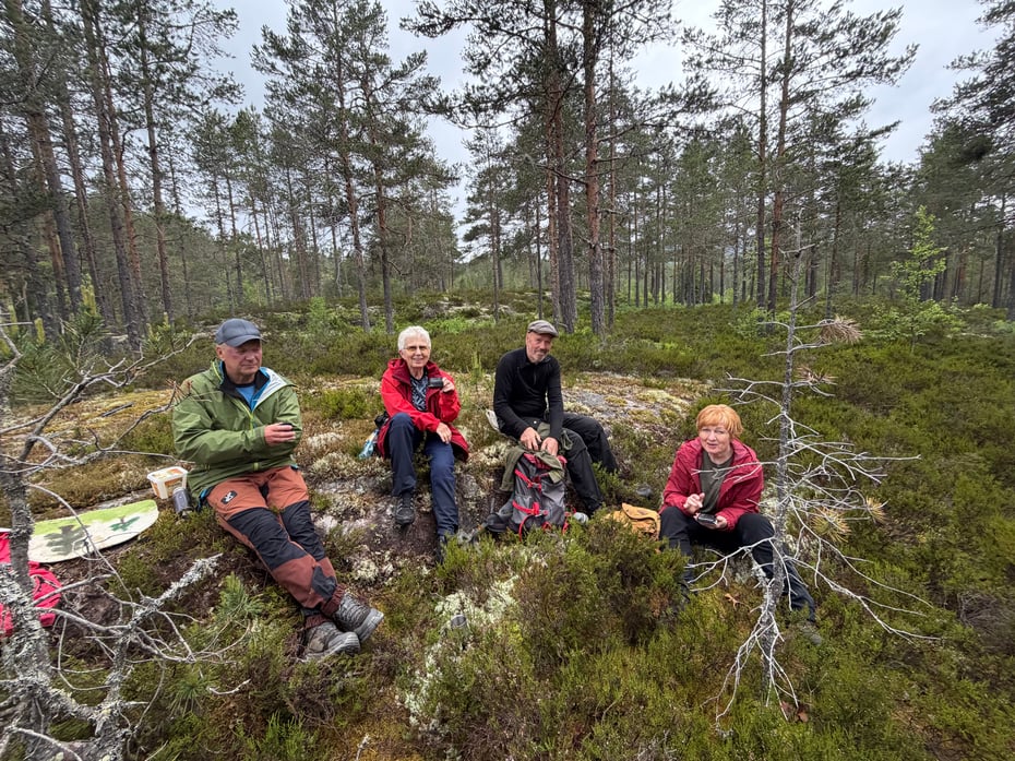 Fire mennesker sitter sammen i skogen.