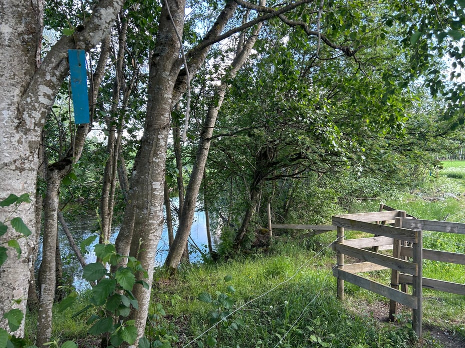 Blåmerket sti ved Brenneridammen