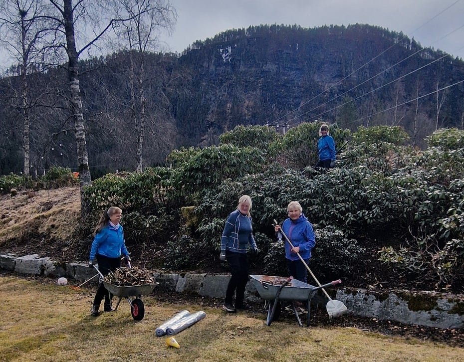 4 ivrige dugnadsdeltakere som rydder i rhododendronbed