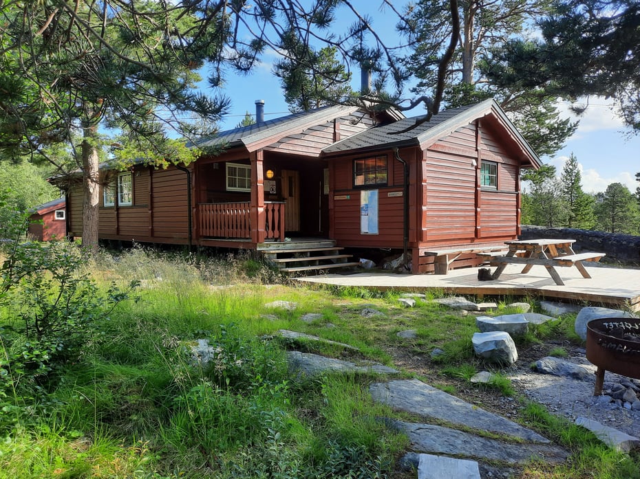 Stor Saltdalshytte med furutrær rundt