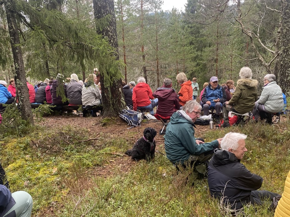 Mennesker som raster på tur i skogen
