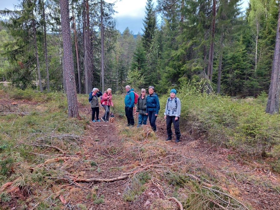 Nordakerskogen foto Ingeborg Høe