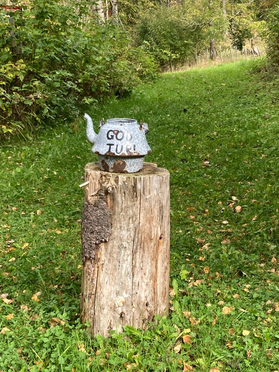 Kaffekanne står på en stubbe, rundt er det grønt gress.