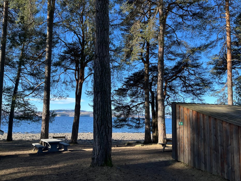 Nordsveodden