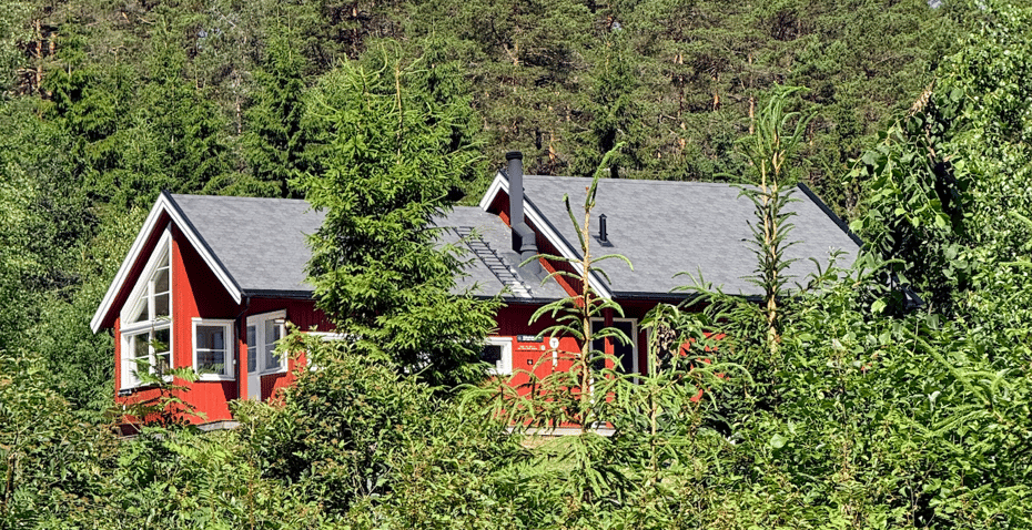 Sommerbilde av Østtorphytta 