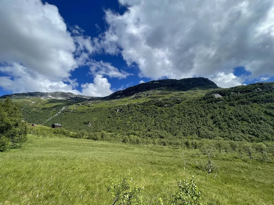 Hytte i Slettedalen