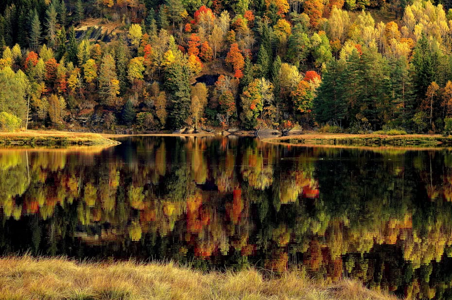 Et høsteventyr i Luksefjell/Skien | Bildet er fra DNTs fotokonkurranse-runder i 2016. 