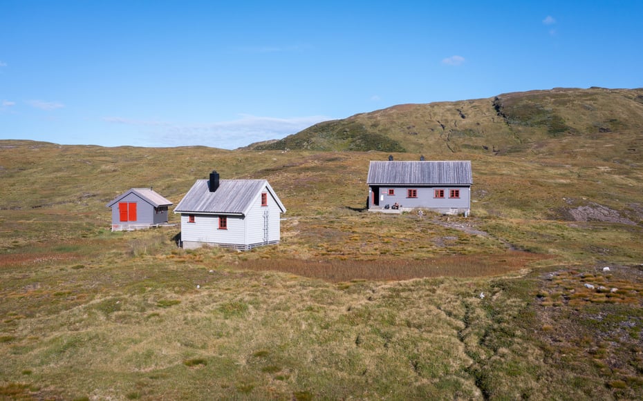 Vending, august 2023.