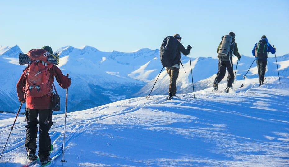 Nasjonal turledersamling Romsdalen DNTung 2018