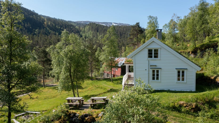 Træet gård, juni 2023.