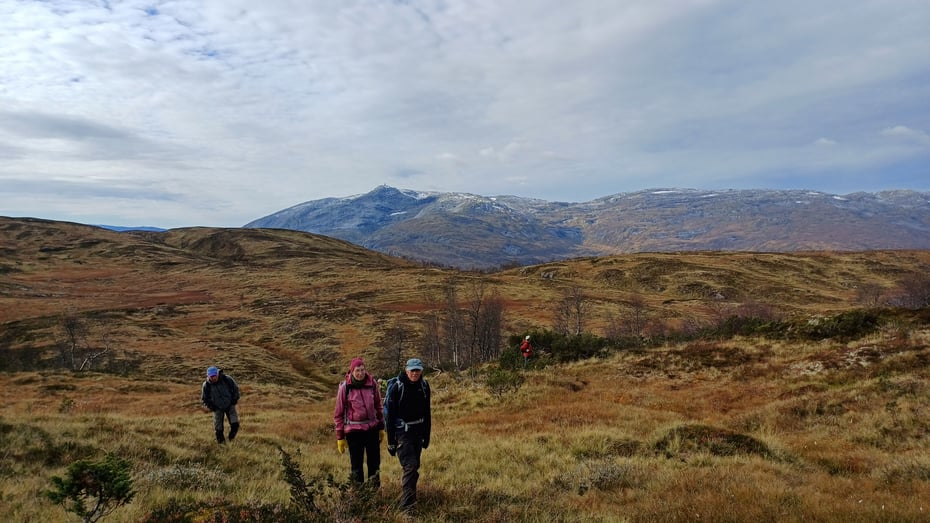 Seniortur frå Liaset til Kolingseggi