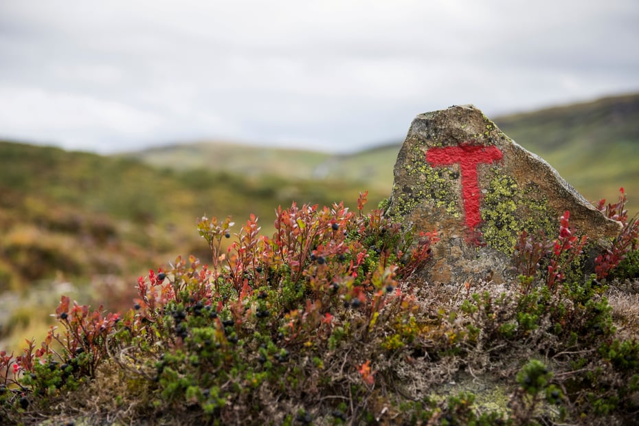 Varde i Stølsheimen. Ca en kilometer fra Åsedalen.