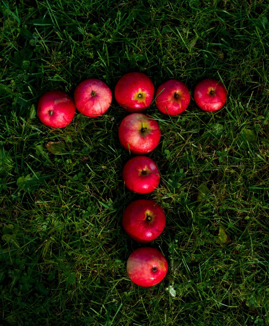 Rød T med epler. Høst, illustrasjonsbilde.
