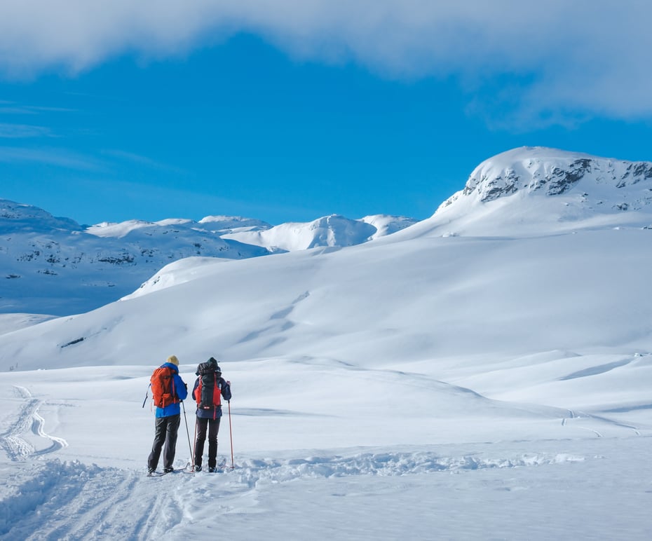 Haukeliseter februar/mars 2024.