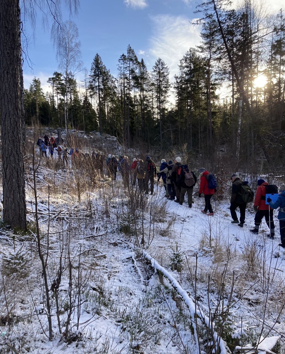 Lavterskeltur 20 november 2024 til Hvitsteintjenn