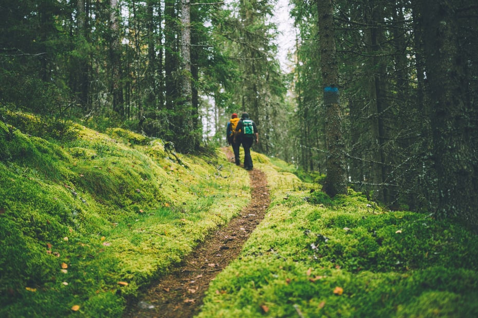175-årsfeiring av Fortidsminneforeningen på Abborhøgda i Finnskogen.