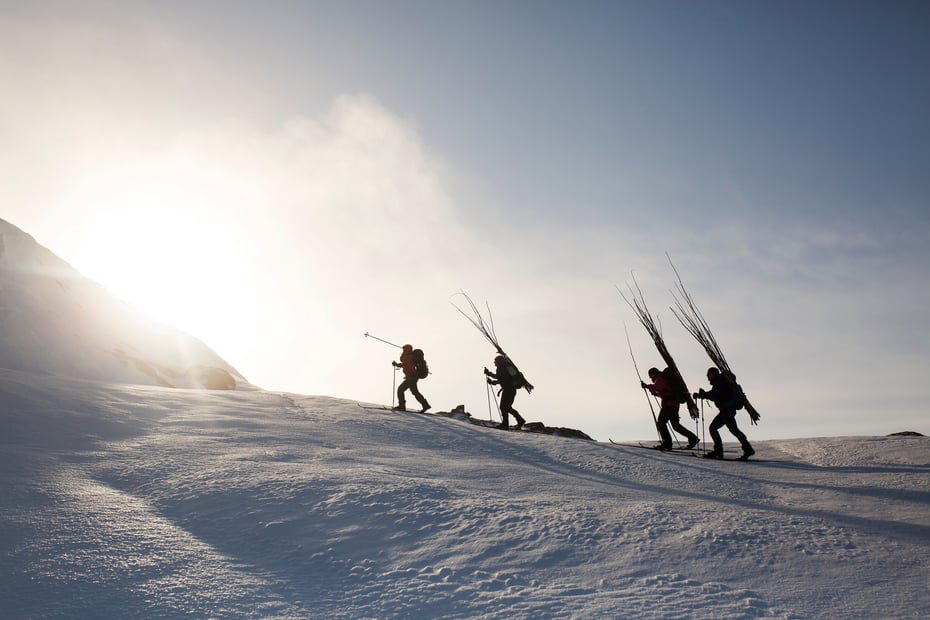 Fire personer som går med kvist på ryggen.
